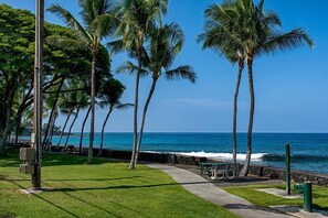 Condo, Multiple Beds (White Sands Village#325) | Property grounds - White Sands Village#325 (Kailua-Kona)