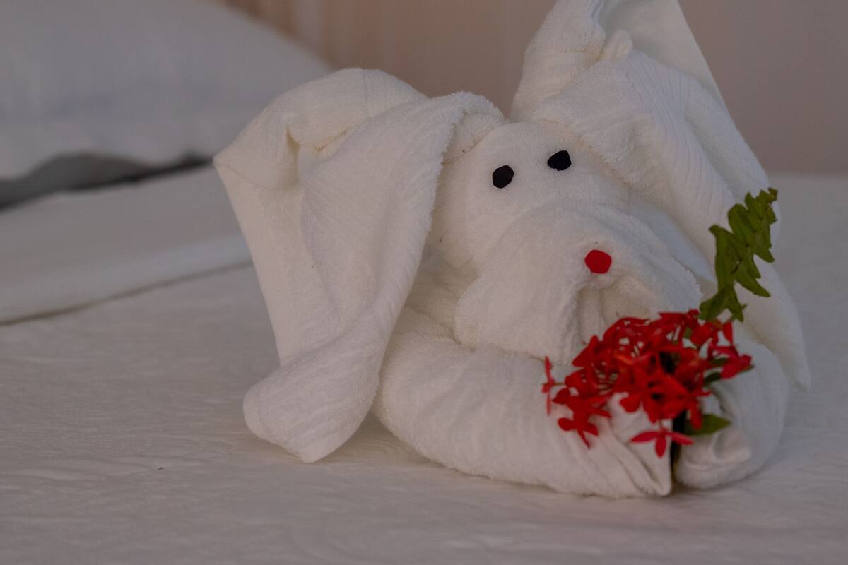 Minibar, escritorio, espacio para trabajar con laptop y cunas gratuitas