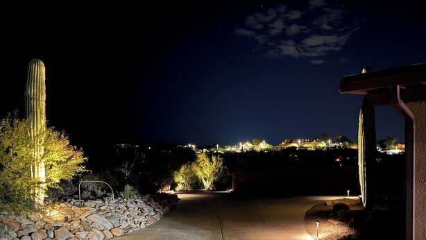A nighttime outdoor area with a paved walkway, illuminated plants, and a cactus. - NW Tucson family friendly house with Catalina mountain views (Tucson)