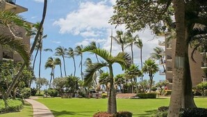 Un jardín bien cuidado con palmeras, un camino y un edificio con balcones.