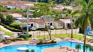 A resort with a large swimming pool, palm trees, and lounge chairs. - Oceanfront Balcony Condo 2101 | Playa Bejuco + Sunset Views + Pool (Bejuco)