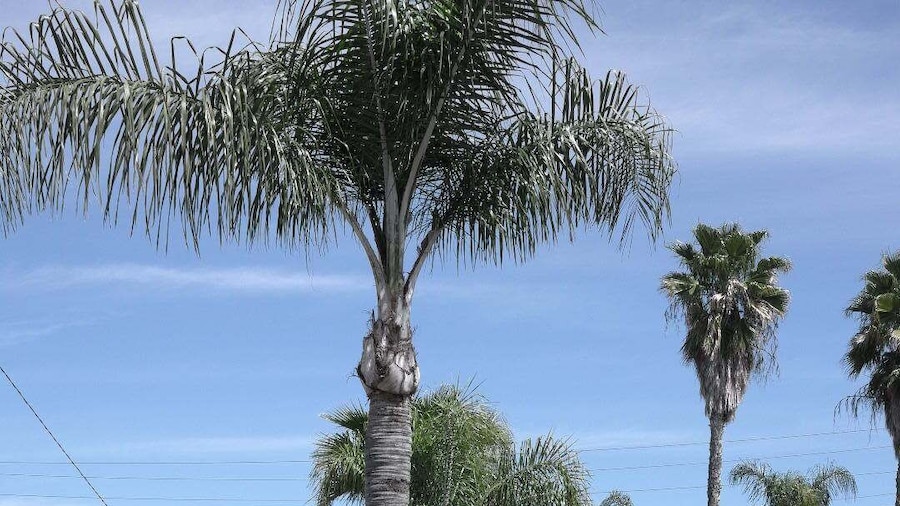 Elsinore Hot Springs & Lodge