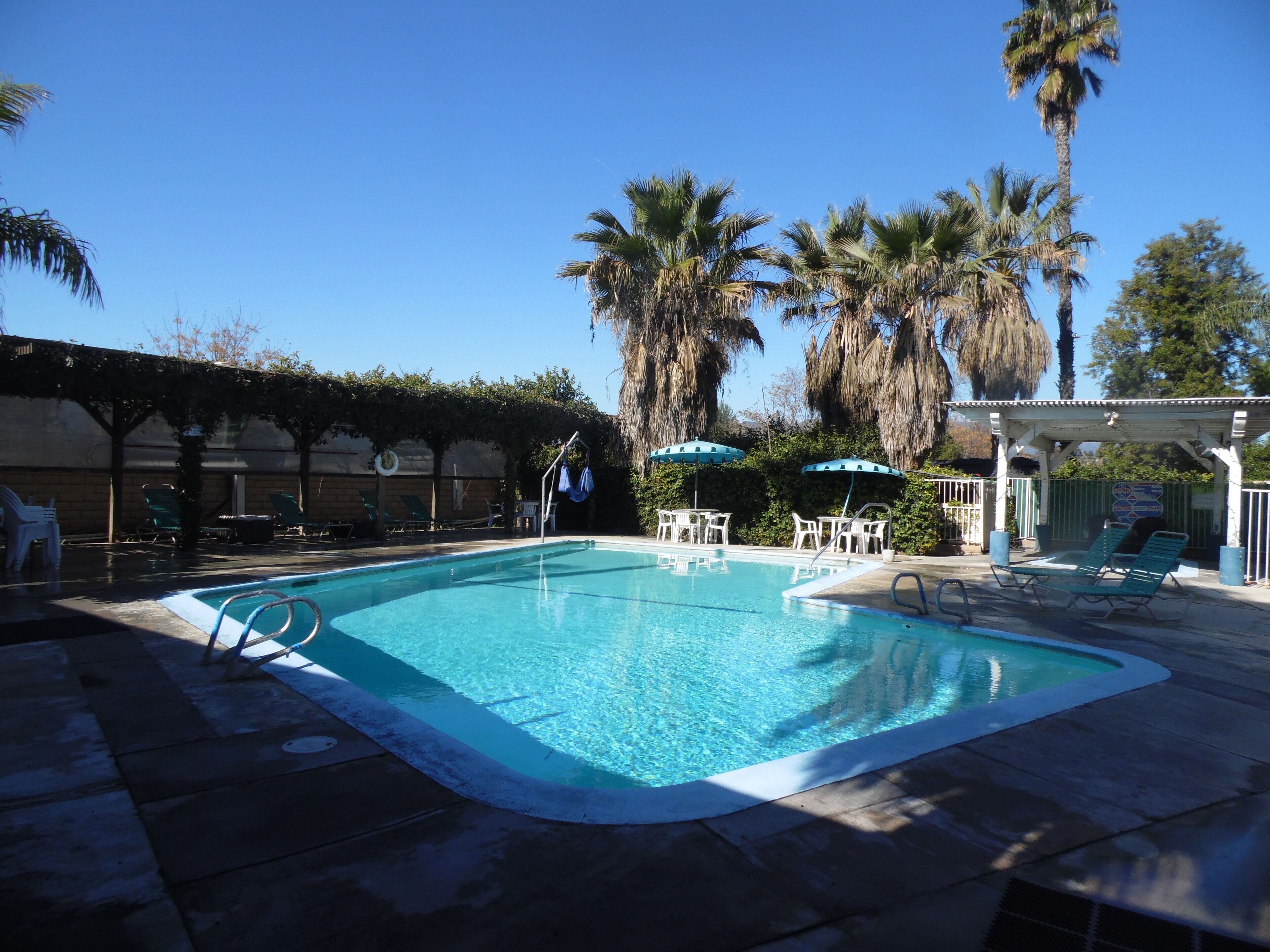 室外泳池；09:00 至 21:00 開放；躺椅