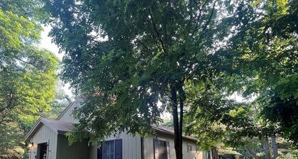 The Cowbell Cottage! Cozy, dog friendly & nestled in the Lakes Region of NH.