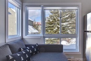 Huoneessa on harmaa sohva, suuri ikkuna, josta avautuu näkymä lumipeitteisiin puihin, ja valkoinen katto.
