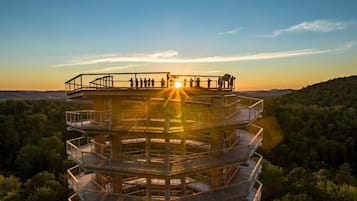 A multi-level observation tower with a panoramic view of the surrounding forest and distant landscape.