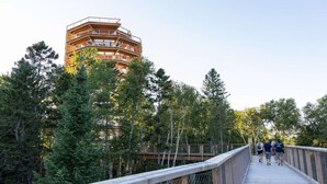 A multi-level wooden building surrounded by trees, with a wooden bridge leading to it.