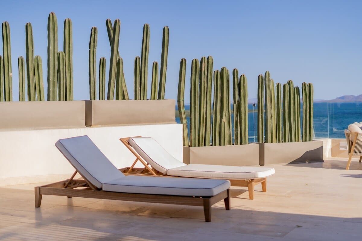Un espace de détente aménagé sur le toit, avec deux chaises longues, un mur décoré de cactus et une vue sur la mer.