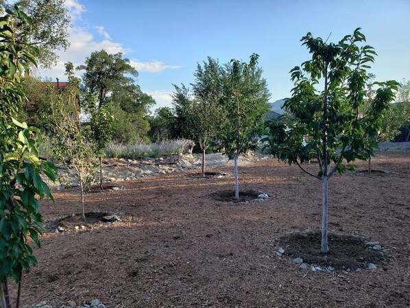 Our Orchard - The Cerrillos Manor Carriage House Hot tub Romance (Los Cerrillos)
