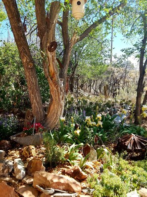A garden with a large tree, various plants, and a birdhouse. - The Cerrillos Manor Carriage House Hot tub Romance (Los Cerrillos)