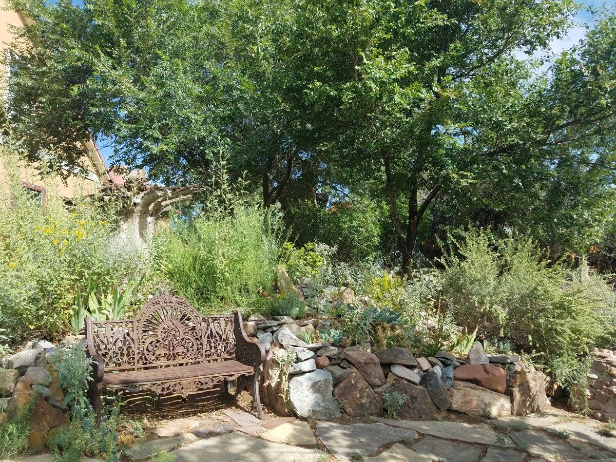 A stone bench in a garden with a variety of plants and trees.