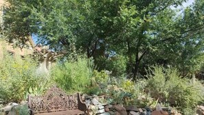 A rustic outdoor seating area with a carved wooden bench, surrounded by rocks and greenery. - Romantic, Rock Carriage House, Hot Tub, Woodstove, Kitchen on Historic Property (Los Cerrillos)