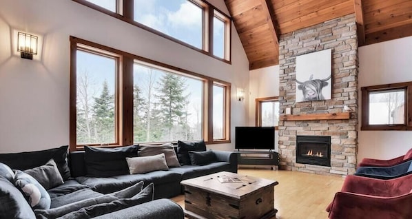 TV, fireplace - Alpha-O Spa et Relaxation  Charlevoix (Petite-Rivière-Saint-François)