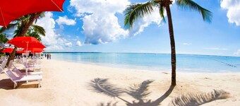 BOCA CHICA - nice  PENTHOUSE ONE MINUTE WALK FROM THE SEA WITH VIEW