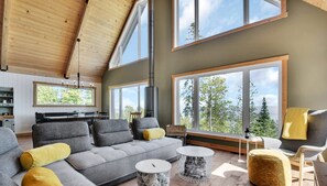 Televisie en een open haard