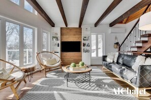 TV, fireplace, books