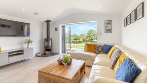 Una sala de estar moderna con chimenea, un sofá, una mesa de centro y un televisor.