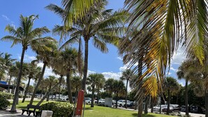 A parking area with palm trees, a red pole, and a trash bin.