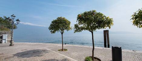 Terrain de lâhĂ©bergement