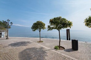 A paved waterfront promenade with trees and a trash bin.