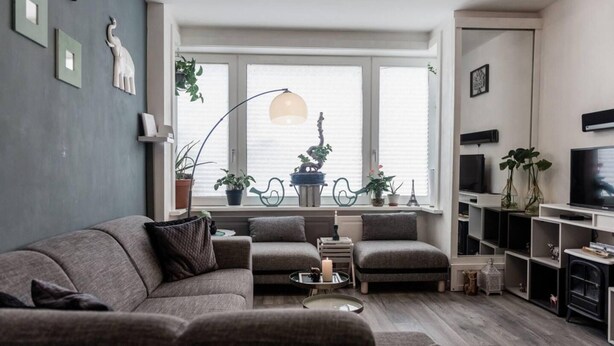Ett modernt vardagsrum med en grå soffa, ett soffbord och en tv som står på ett tv-bord. Det finns krukväxter på fönsterbrädan och en golvlampa.