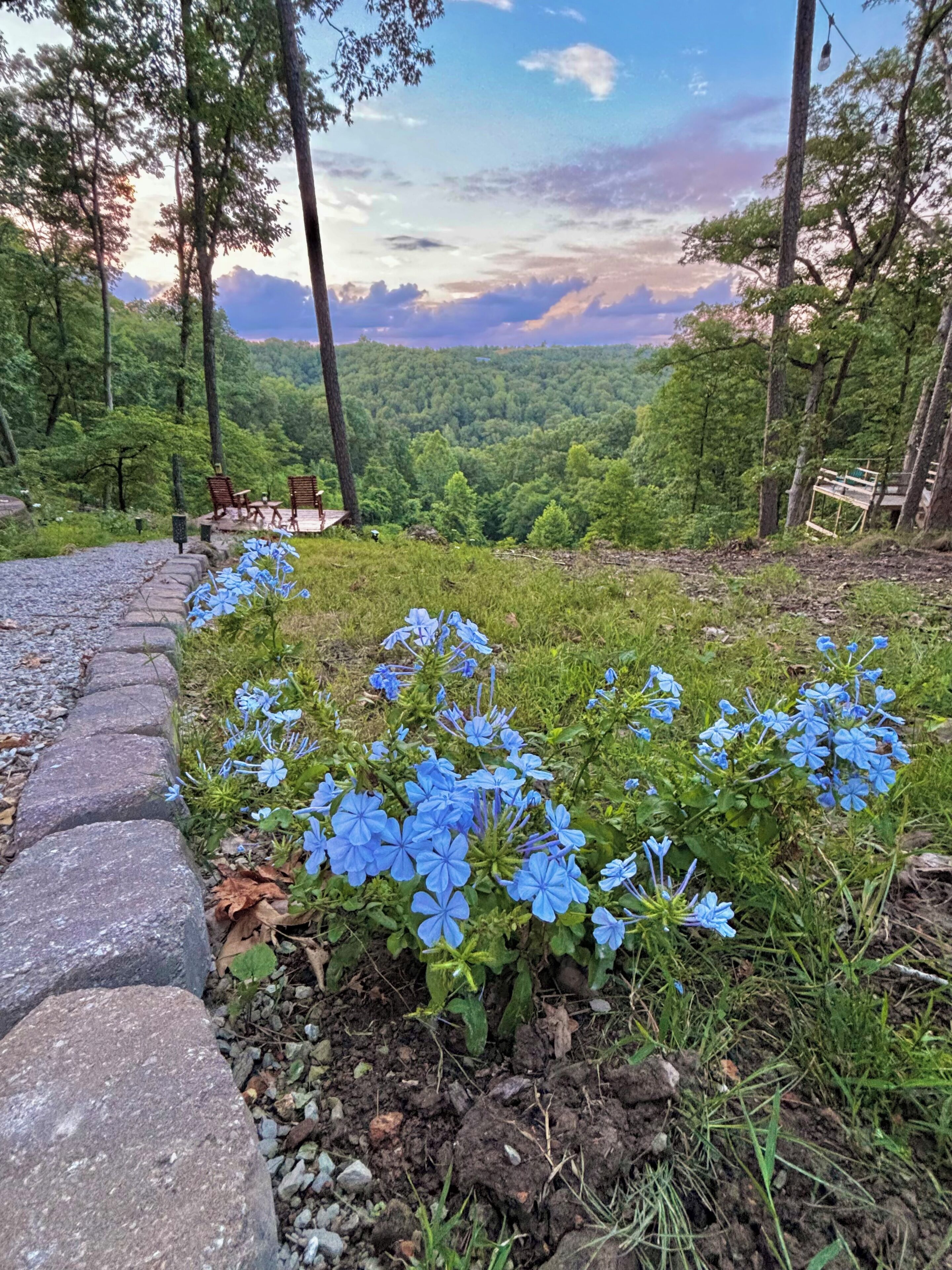 Áreas de la propiedad