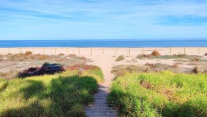 Ein Strandweg, der zum Meer führt, mit blauem Himmel.