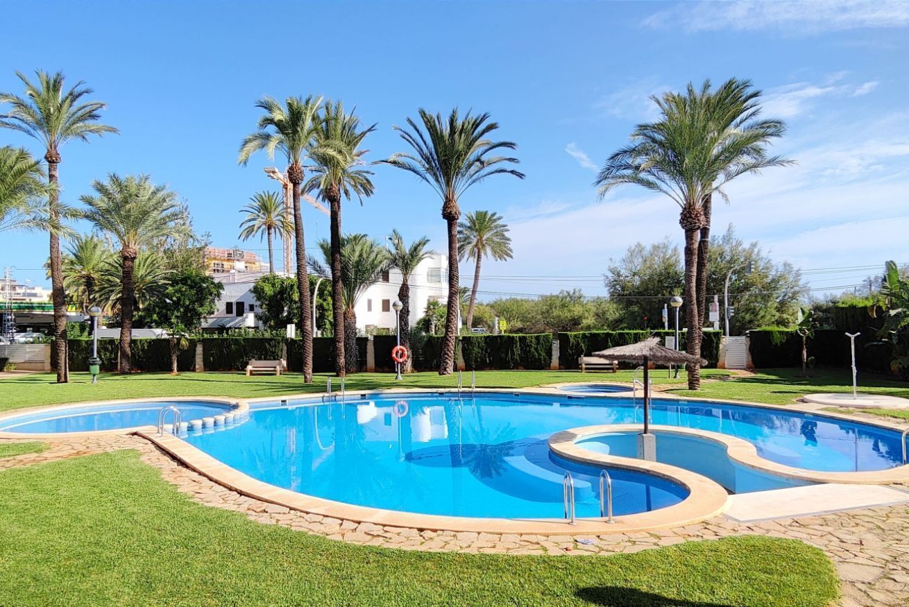 A swimming pool with a curved design, surrounded by palm trees and a well-maintained lawn.