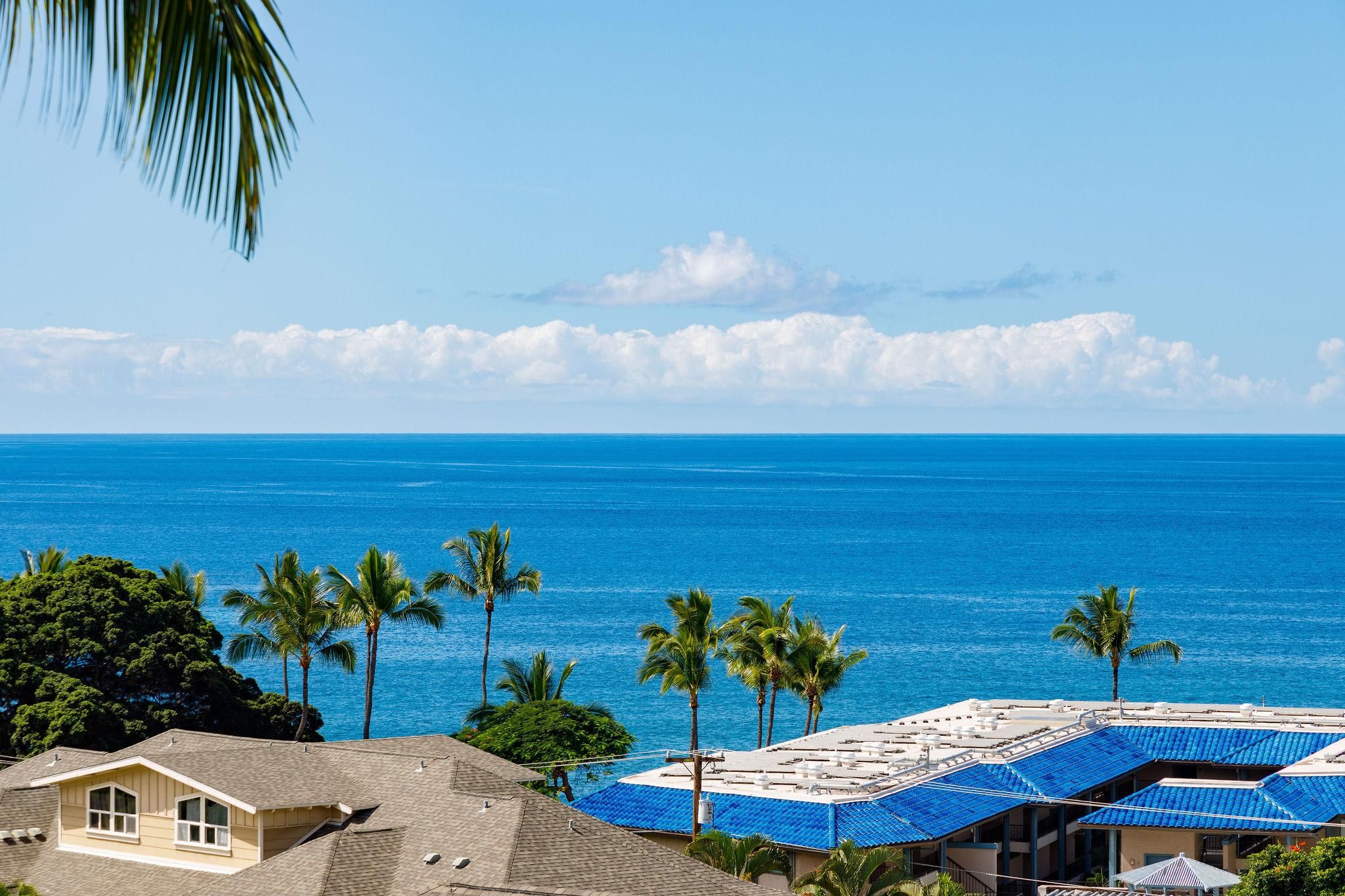 A coastal view with a clear sky, a calm sea, and palm trees.