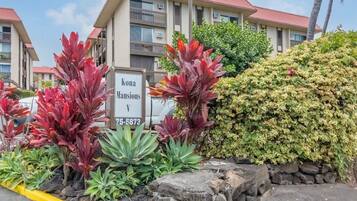 Condo, 1 King Bed (Kona Mansions#309) | Property grounds