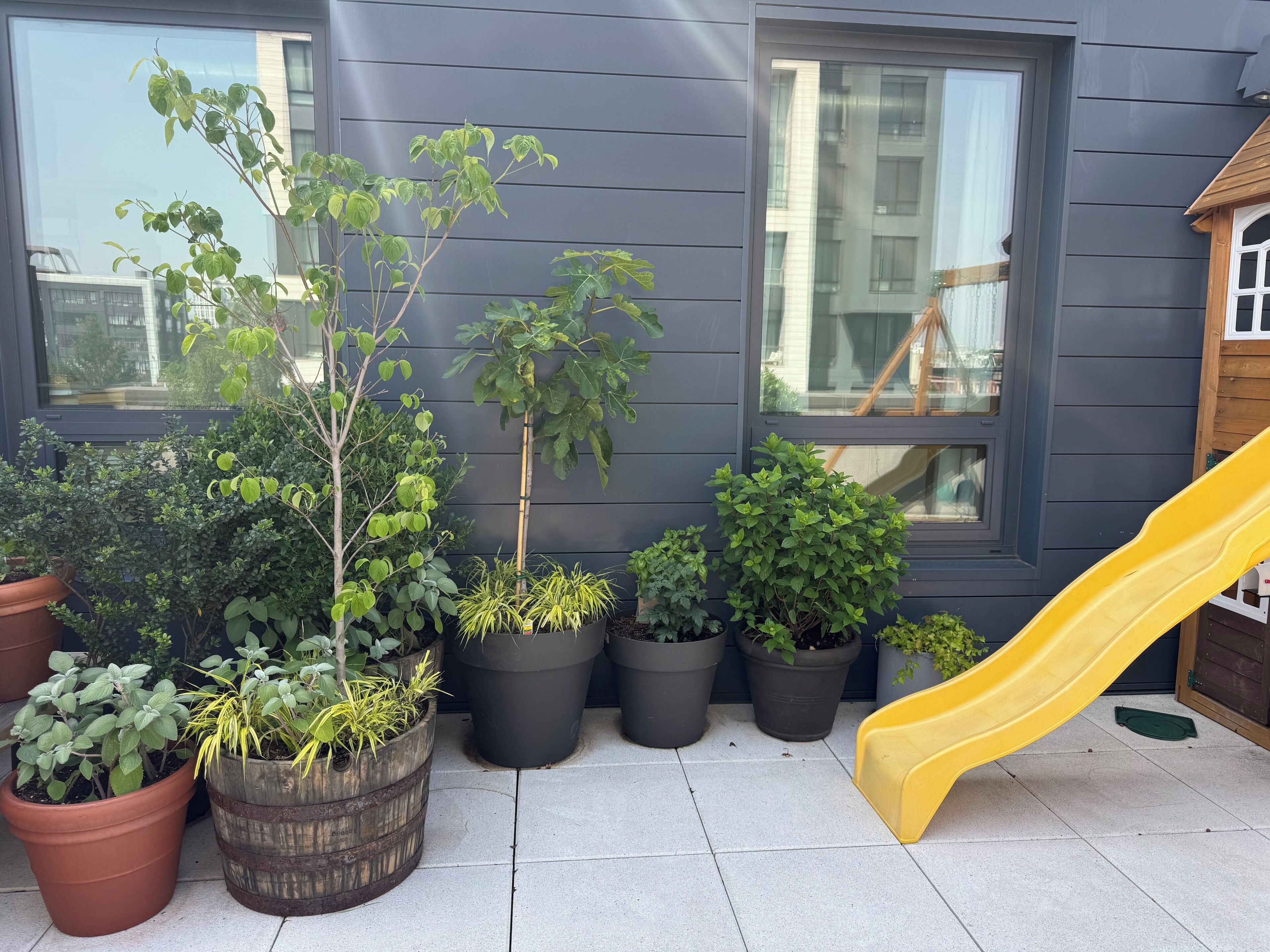 Une terrasse agrémentée de différents pots de plantes et d’un toboggan jaune.