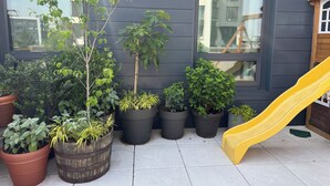 A patio with various potted plants and a yellow slide. - Gorgeous two bedroom with a huge terrace (Brooklyn)