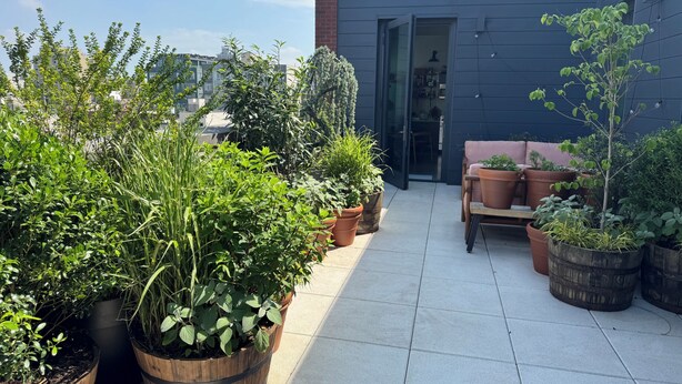 A rooftop patio with potted plants, a seating area, and a view of the cityscape. - Gorgeous two bedroom with a huge terrace (Brooklyn)