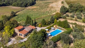 Eine Villa mit Swimmingpool, umgeben von Weinbergen und üppiger Vegetation.