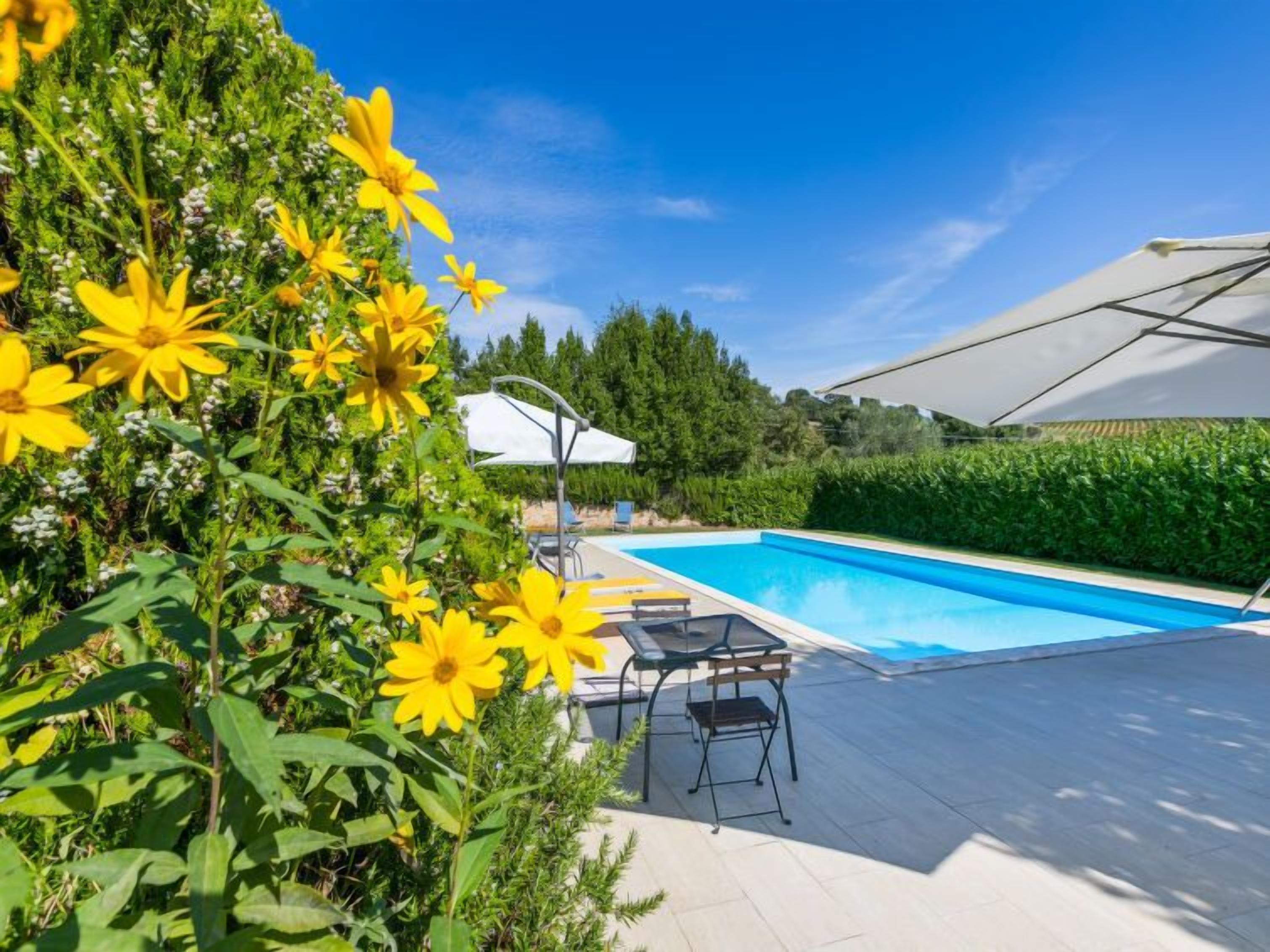 Una piscina con una sombrilla, una mesa de vidrio y sillas, rodeada de follaje y un cielo despejado.