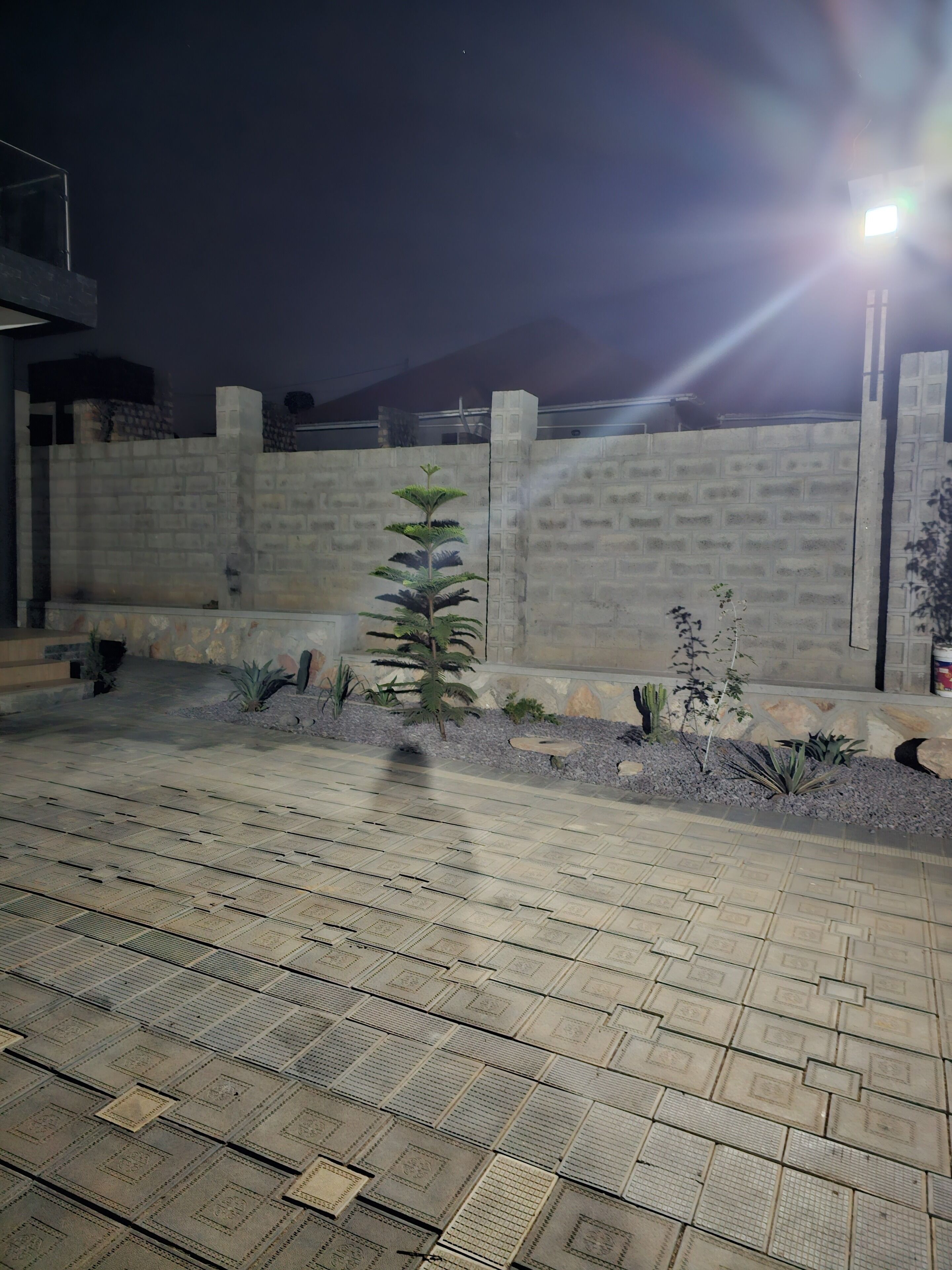 A paved outdoor area with a low wall, small plants, and a single tree.