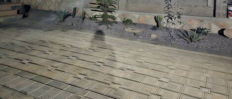 A paved outdoor area with a low wall, small plants, and a single tree.