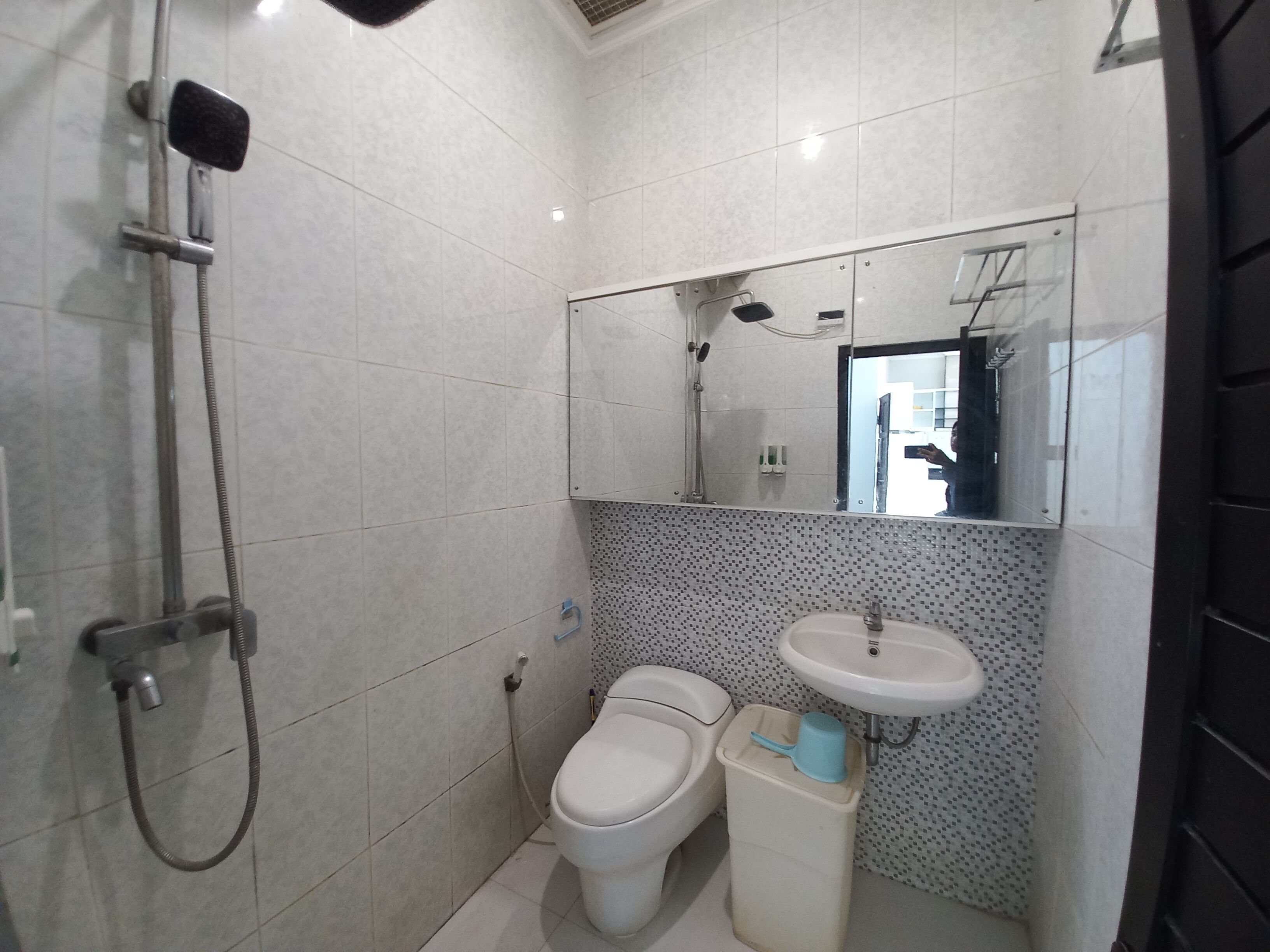 Une salle de bain avec des toilettes, un lavabo et une douche.