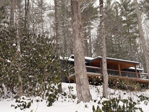 Exterior - The Rainforest Hideout (Cashiers)