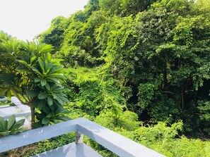A lush green hillside with dense vegetation and a tiled structure in the foreground.