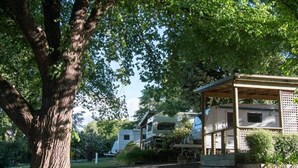 A covered outdoor area with a large tree, a gazebo, and a mobile home in the background. - Longford Riverside Caravan Park (Longford)