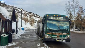 Terrain de l’hébergement