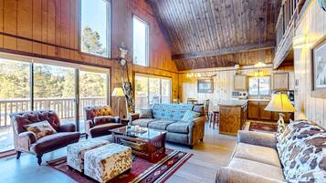 Televisión, chimenea y reproductor de DVD