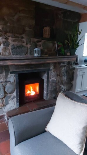 Televisión, chimenea, estéreo