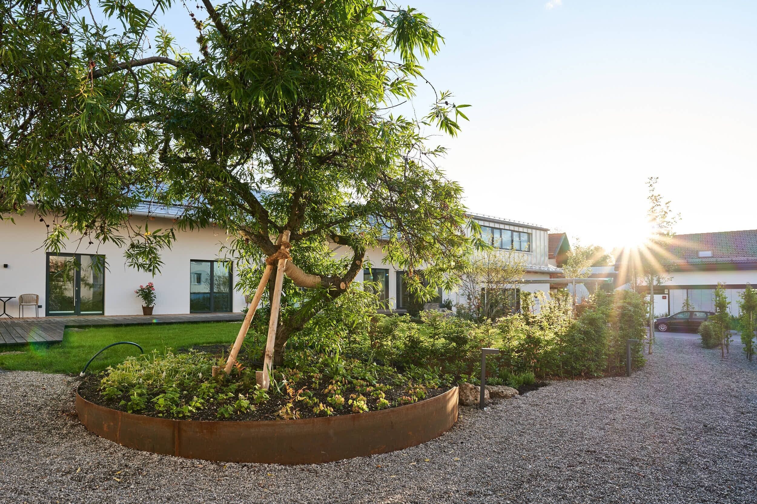 Un bâtiment moderne doté d’un espace jardin agrémenté d’un arbre et de diverses plantes.