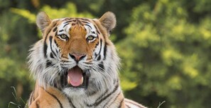 Unclassified image, 5 of 58, button