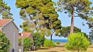 Ein Haus mit rotem Dach, umgeben von grünen Bäumen und blauem Himmel.