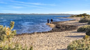 En strand med to personer og en hund, der går langs kysten.