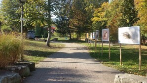 A paved pathway in a park with informational signs and trees. - Meublés du 25 N°5 à Niederbronn-les-bains (Niederbronn-les-Bains)