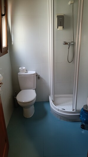Ein Badezimmer mit Toilette, Dusche und blauem Boden.